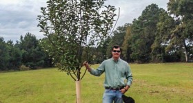 Thanks for great fruit trees and Christmas delivery!