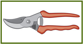 the_wildlife_group_pruning