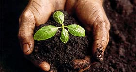 the_wildlife_group_soil types