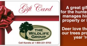 Gift Cards for the Deer or Turkey Hunter
