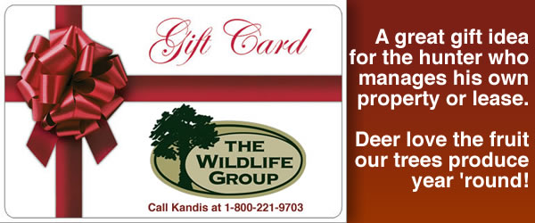 Gift Cards for the Deer or Turkey Hunter
